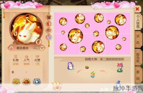 梦幻西游三维版神兜兜攻略,解锁高手之路的钥匙