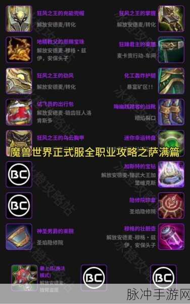 WLK元素萨属性深度剖析,打造最强输出的新策略