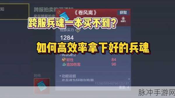 妄想山海兵魂获取全攻略