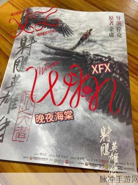 射雕江湖再掀波澜,梅坞秘藏宝盒深度探索之旅