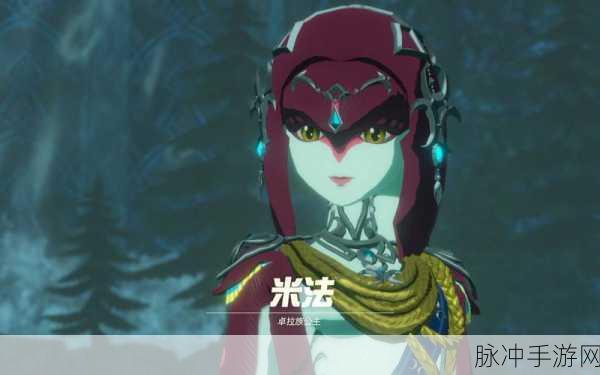 塞尔达无双灾厄启示录,人物强度排名与角色选择深度剖析