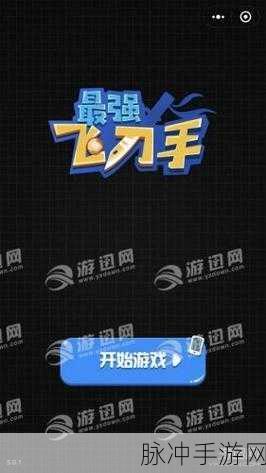 最强飞刀来袭!解锁魔性解压新体验,趣味闯关等你挑战