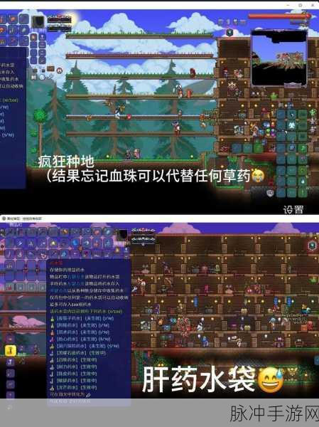 泰拉瑞亚六种魂获取全攻略