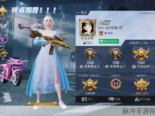 和平精英随机组队，遇到这些队友，果断退赛保平安！