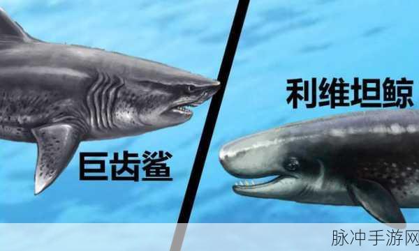 动物江湖新手启航,解锁霸主之路的全攻略秘籍