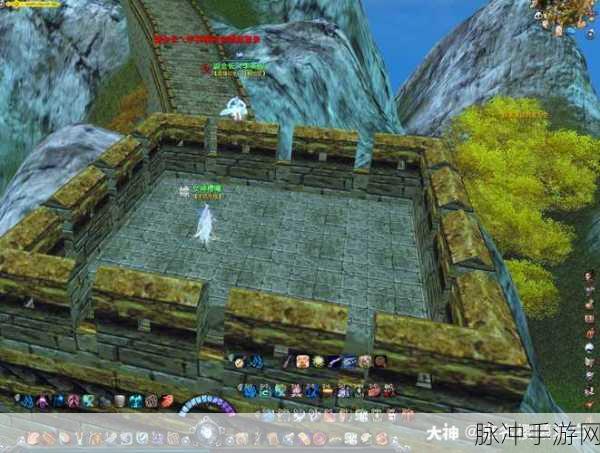 天机门派长城熊，宠物解析与资源管理优化