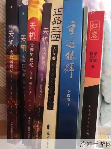 天机门派长城熊,宠物解析与资源管理优化