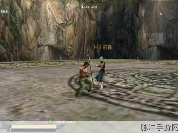 流星蝴蝶剑枪无限连招大揭秘,助你称霸武林之巅!