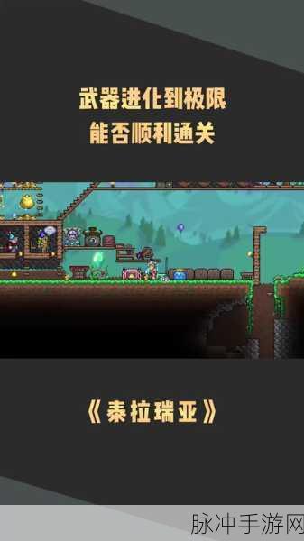 泰拉世界2024手机版震撼登场,自由玩法与流畅画质引领冒险新风尚