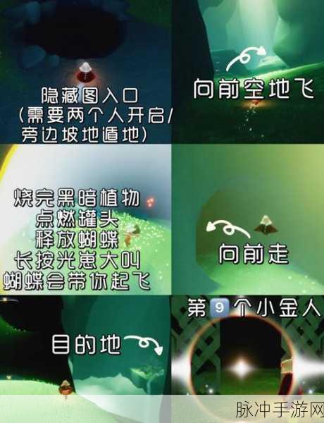 光遇雨林伞获取全攻略,解锁雨林的浪漫秘密