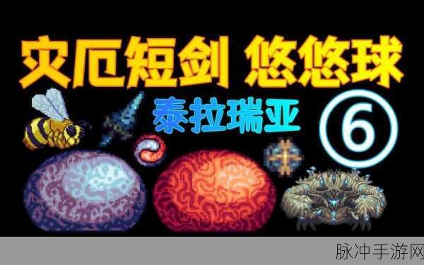 泰拉瑞亚悠悠球砝码,探险家手中的灵动奇迹