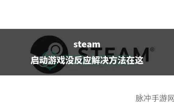 Steam泰拉瑞亚无法启动？原因与解决方案一网打尽