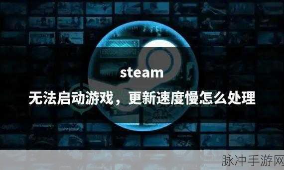Steam泰拉瑞亚无法启动?原因与解决方案一网打尽