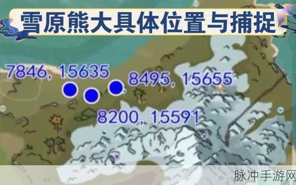 创造与魔法深度探索，雪原熊饲料制作全揭秘