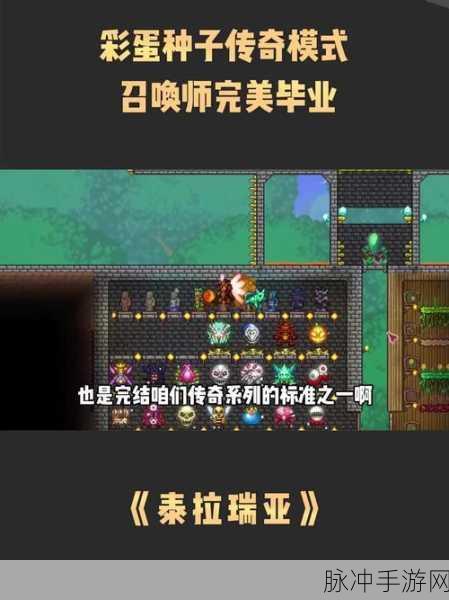 泰拉瑞亚奇遇记，布袜与黑腰带编织的传奇篇章