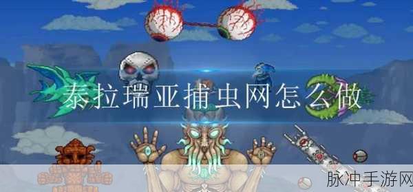 泰拉瑞亚捕虫网秘籍，全面获取攻略，尽享昆虫捕捉乐趣