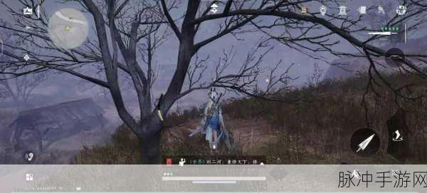 剑网3温泉山庄,鬼眼寻觅秘籍,揭秘隐藏奇遇的终极探索指南
