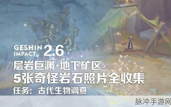 层岩巨渊探秘,老石与宝藏的寻觅之旅