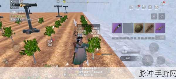 妄想山海24级炼器能否解锁凤鸣之谜