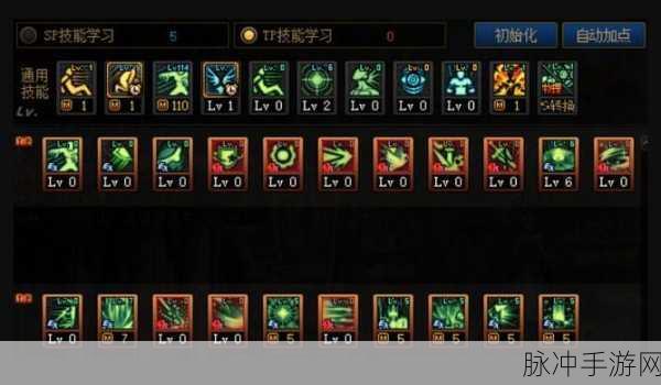 DNF帕拉丁加点全攻略，打造全能战士