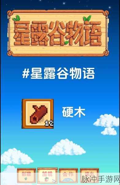 星露谷物语，解锁秘境深处的探险秘籍，助你成为探险大师