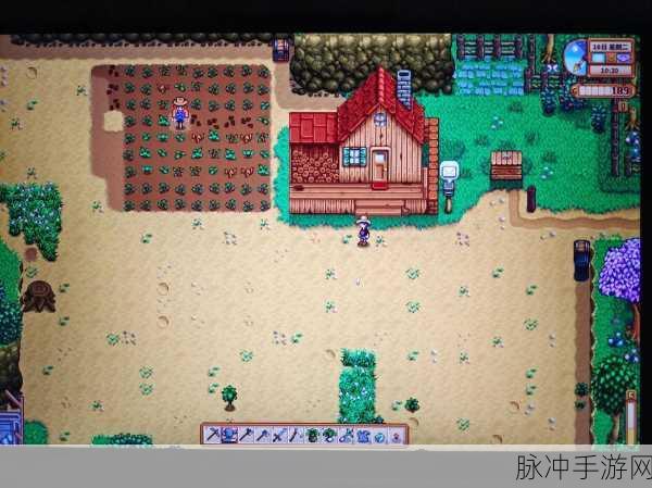 星露谷物语，体力耗尽后的奇妙遭遇