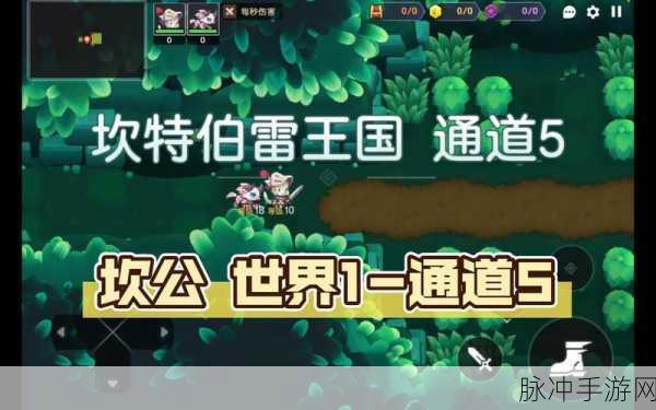 坎公骑冠剑11-5全收集深度攻略，步步为营，揭秘通关秘籍