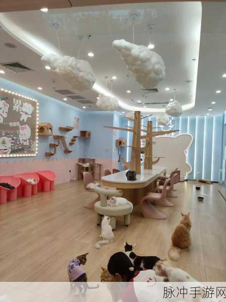 奇妙猫猫乐园,萌宠养成,休闲益智新体验等你来探索