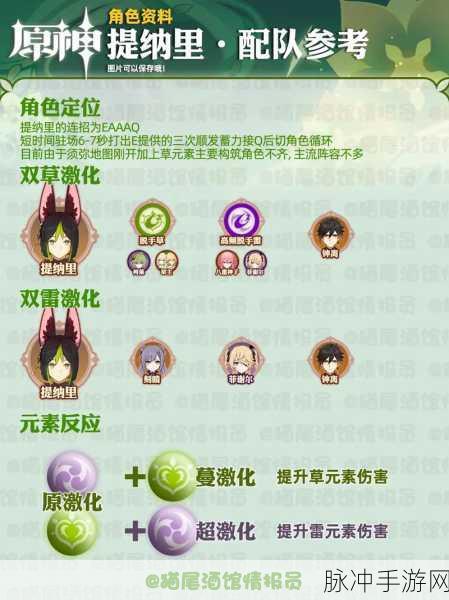 原神提纳里阵容搭配全攻略，最佳组合与实战深度解析
