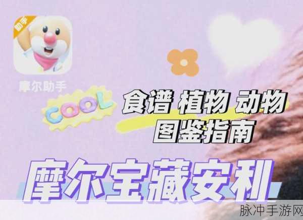 摩尔庄园萤火草获取全攻略