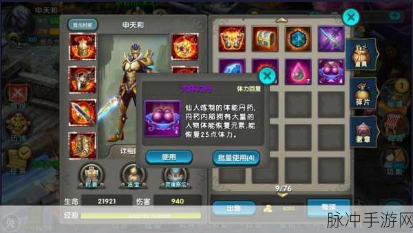 太极熊猫3,装备之路深度探索,解锁战力飙升秘籍