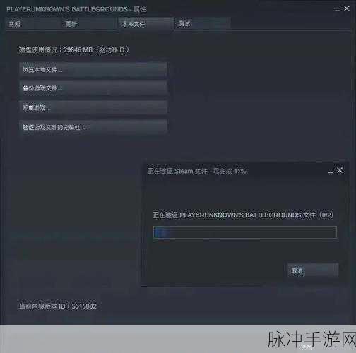 艾尔登法环联机检测到作弊?这里有解决秘籍!