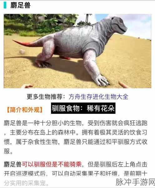 方舟生存进化，驯服恐龙的终极秘籍