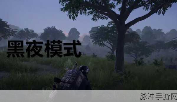 绝地求生实验室挑战者模式,机制揭秘与玩法全攻略