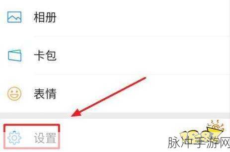 和平精英隐私攻略，如何禁止他人观战