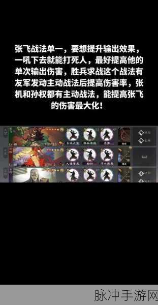 张飞乐进并肩作战，三国志战略版零氪玩家开荒攻略新纪元