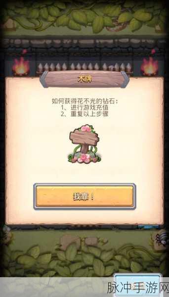 阿拉丁神油，不思议迷宫中的生命之光与神秘宝藏