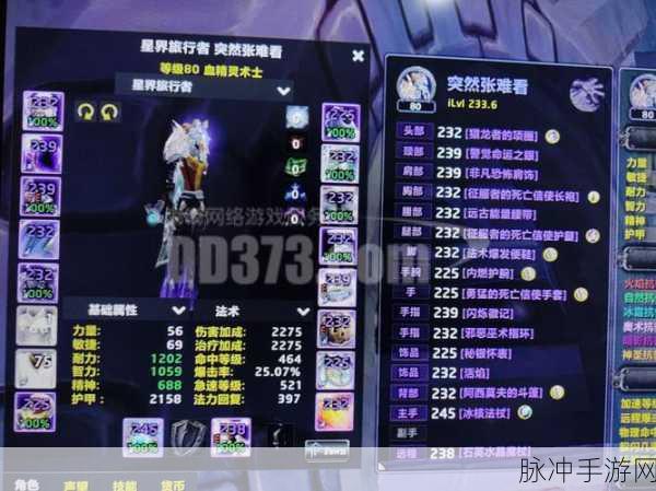 WLK惩戒骑光环掌握深度解析,提升你的光环掌控力