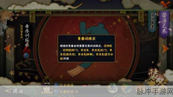 火影忍者OL,揭秘凯与雷主被动吸血的奥秘