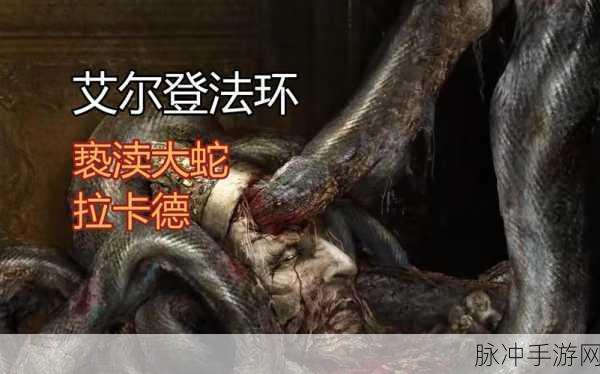 艾尔登法环揭秘，大蛇吞噬卡拉德的真相