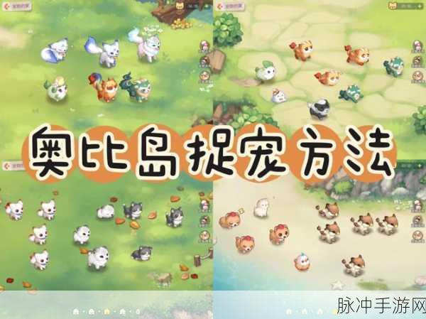 奥比岛创造堂，全面解锁进入流程与实战攻略
