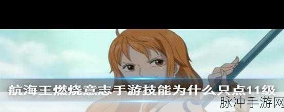 航海王燃烧意志,凯撒加点全攻略与技能天赋深度剖析