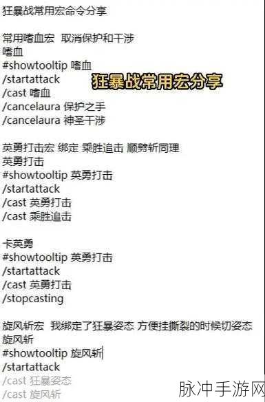 WLK生存猎人,解锁一键输出宏的高效战斗秘籍