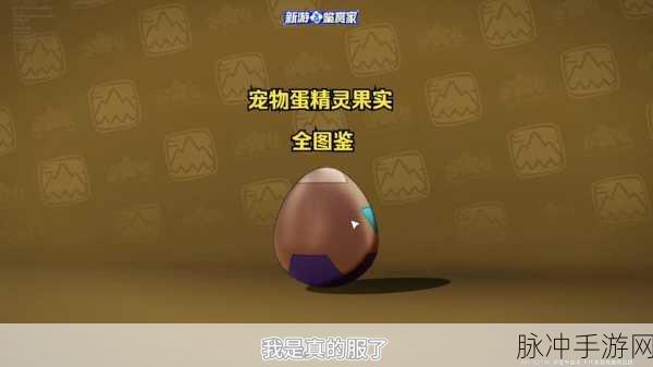 洛克王国可可果树探寻之旅,解锁果实获取秘籍