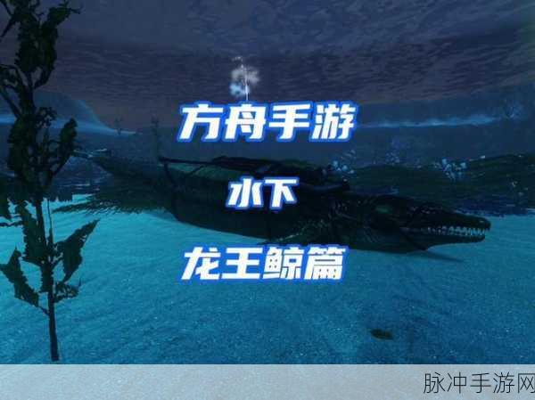 方舟生存进化新攻略,揭秘龙王鲸驯服技巧与最佳饲料