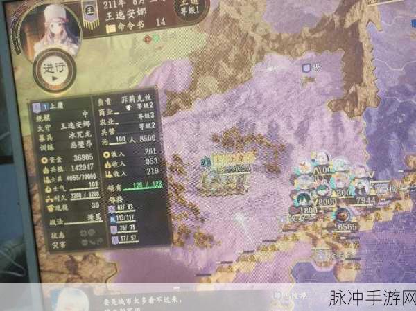 三国志14基建断粮,玩家必备资源短缺全面攻略