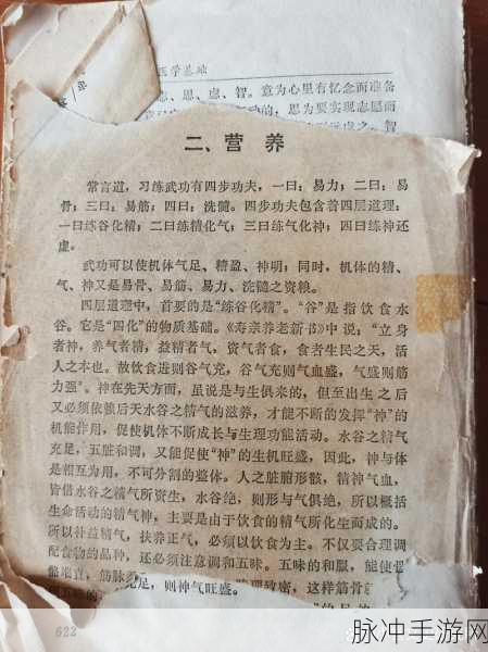 烟雨江湖,铁砂掌突破秘籍全解析