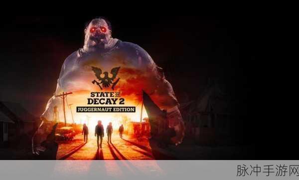 Steam腐烂国度2登录难题全攻略,从故障迷雾到畅快游戏的桥梁