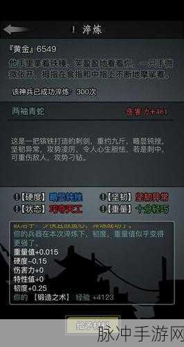 逆焰功深度揭秘,放置江湖中的神秘武学全攻略