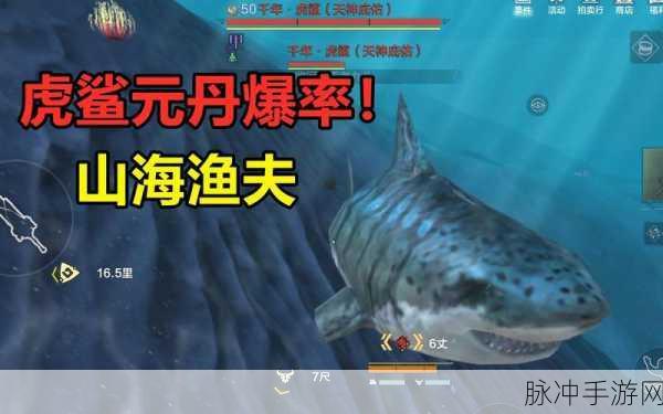 妄想山海奇遇,雪鲸现身,探寻深海与冰原的捕获奥秘